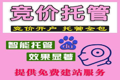 百度竞价广告创意设计：成功案例解析及启示